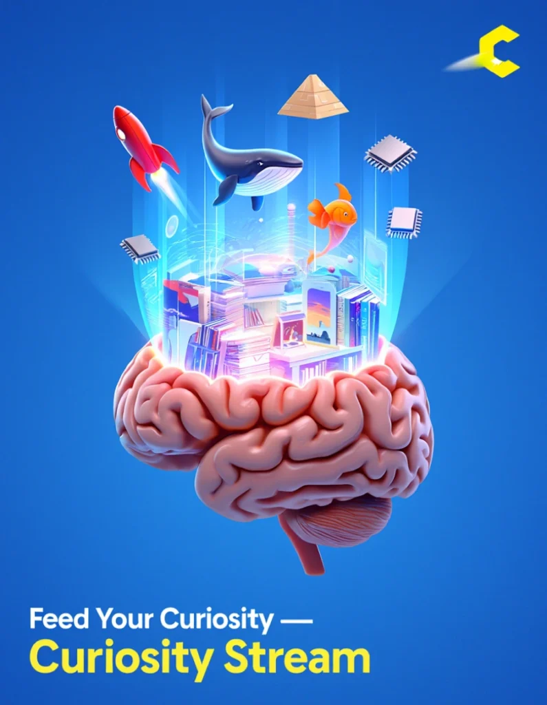 2026 top Documentary Channel Comparison